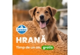 Castiga hrana gratuita pentru caini timp de un an