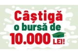 Caștiga o bursa in valoare de 10.000 de lei, seturi de electrocasnice Tefal sau vouchere Carrefour