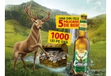 Castiga zilnic cate 1000 lei din ora in ora sau milioane de doze bere Ciucaș