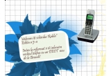Castiga un telefon DECT Brondi Max 2