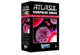 Castiga un set de 6 dvd-uri "Atlasul Corpului Uman"